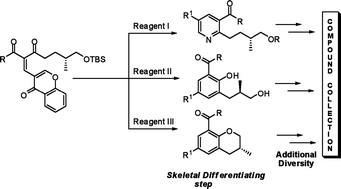 Graphical abstract: Reagent-controlled domino synthesis of skeletally-diverse compound collections