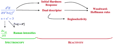 Graphical abstract: Conceptual DFT: the chemical relevance of higher response functions