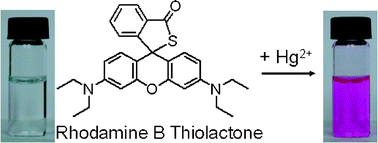 Graphical abstract: Rhodamine B thiolactone: a simple chemosensor for Hg2+ in aqueous media