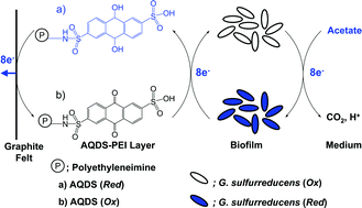 Graphical abstract: A novel mediator–polymer-modified anode for microbial fuel cells