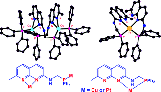 Graphical abstract: Synthesis, structures and photophysical properties of luminescent copper(i) and platinum(ii) complexes with a flexible naphthyridine-phosphine ligand