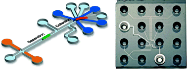 Graphical abstract: Electrokinetic sorting and collection of fractions for preparative capillary electrophoresis on a chip