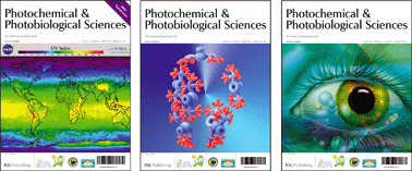 Graphical abstract: Happy New Year from the Photochemical & Photobiological Sciences Editors