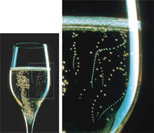 Graphical abstract: Recent advances in the science of champagne bubbles