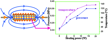 Graphical abstract: On-line pressurized electromagnetic induction heating digestion: a promising sample preparation technique for trace mercury analysis