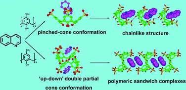 Graphical abstract: Supramolecular chain-like aggregates and polymeric sandwich complexes constructed from p-sulfonatocalix[4,6]arenes with (8-hydroxy)quinoline guests