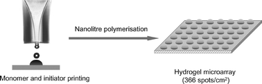Graphical abstract: Inkjet fabrication of hydrogel microarrays using in situ nanolitre-scale polymerisation
