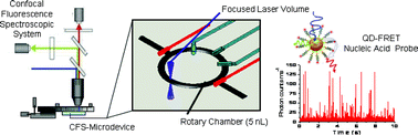 Graphical abstract: Coupling confocal fluorescence detection and recirculating microfluidic control for single particle analysis in discrete nanoliter volumes