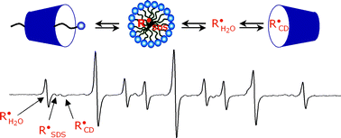 Graphical abstract: An EPR method for measuring the rate of distribution of organic substrates between cyclodextrin, micelles and water