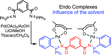Graphical abstract: Synthesis and structure of tetranuclear orthometallated Pd(ii) complexes derived from bis-iminophosphoranes