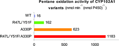 Graphical abstract: Evolved CYP102A1 (P450BM3) variants oxidise a range of non-natural substrates and offer new selectivity options