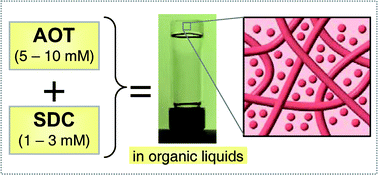 Graphical abstract: Self-assembled organogels obtained by adding minute concentrations of a bile salt to AOT reverse micelles