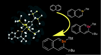 Graphical abstract: Synthesis and properties of stable 2-metallanaphthalenes of heavier group 14 elements