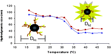 Graphical abstract: Multifunctional magnetite nanoparticles coated with fluorescent thermo-responsive polymeric shells