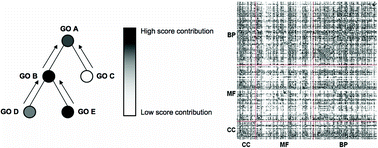 Graphical abstract: New paradigm in protein function prediction for large scale omics analysis