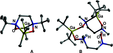 Graphical abstract: Structural diversity in bishydroxylamine complexes of gallium