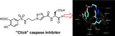 Graphical abstract: “Click” synthesis of small-molecule inhibitors targeting caspases