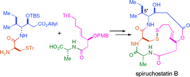 Graphical abstract: Total synthesis of spiruchostatin B, a potent histone deacetylase inhibitor, from a microorganism