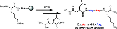 Graphical abstract: A peptide hydroxamate library for enrichment of metalloproteinases: towards an affinity-based metalloproteinase profiling protocol