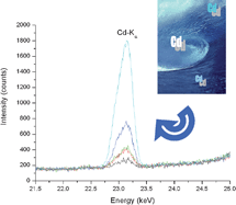 Graphical abstract: Application of high-energy polarised beam energy dispersive X-ray fluorescence spectrometry to cadmium determination in saline solutions