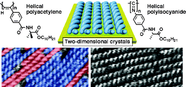 Graphical abstract: Visualization of synthetic helical polymers by high-resolution atomic force microscopy