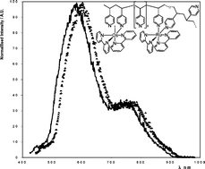 Graphical abstract: Surface confinement and its effects on the luminescence quenching of a ruthenium-containing metallopolymer