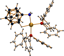 Graphical abstract: η1 and η2 Coordination of 1-amino-closo-dodecaborate