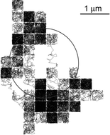 Graphical abstract: Theory of fluorescence correlation spectroscopy at variable observation area for two-dimensional diffusion on a meshgrid