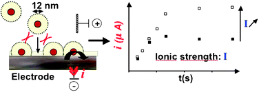 Graphical abstract: Reactivity of nanocolloidal particles γ-Fe2O3 at the charged interfaces Part 1. The approach of particles to an electrode