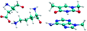 Graphical abstract: Describing weak interactions of biomolecules with dispersion-corrected density functional theory