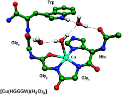 Graphical abstract: A DFT study of EPR parameters in Cu(ii) complexes of the octarepeat region of the prion protein