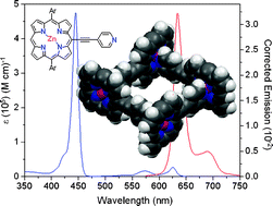 Graphical abstract: Fast energy transfer within a self-assembled cyclic porphyrin tetramer