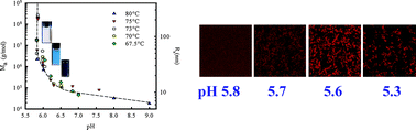 Graphical abstract: The influence of electrostatic interaction on the structure and the shear modulus of heat-set globular protein gels