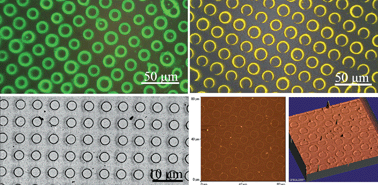 Graphical abstract: Highly ordered fluorescent rings by “breath figures” on patterned substrates using polymer-free CdSe quantum dots