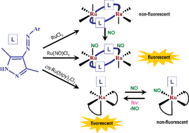 Graphical abstract: Nitric oxide binding and photodelivery based on ruthenium(ii) complexes of 4-arylazo-3,5-dimethylpyrazole