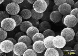 Graphical abstract: Controlling silica nanoparticle properties for biomedical applications through surface modification