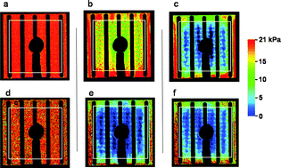 Graphical abstract: In situ and real-time visualisation of oxygen distribution in DMFC using a porphyrin dye compound