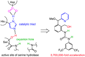 Graphical abstract: Biomimetic trifunctional organocatalyst showing a great acceleration for the transesterification between vinyl ester and alcohol