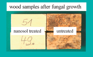 Graphical abstract: Functionalising wood by nanosol application