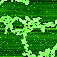 Graphical abstract: Microscopy, microstructure and displacement of proteins from interfaces: implications for food quality and digestion