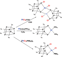 Graphical abstract: Facile insertion and halogen migration reactions of the hexaphosphapentaprismane cage P6C4tBu4 with zerovalent and divalent platinum complexes