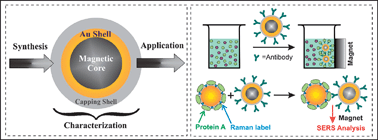 Graphical abstract: Core@shell nanomaterials: gold-coated magnetic oxide nanoparticles