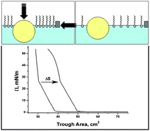 Graphical abstract: Theoretical evaluation of nano- or microparticulate contact angle at fluid/fluid interfaces: analysis of the excluded area behavior upon compression