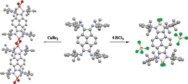 Graphical abstract: Synthesis and reactivity of tetrakis(imino)pyracene (TIP) ligands; bifunctional analogues of the BIAN ligand class