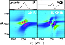 Graphical abstract: Two-dimensional nonlinear optical activity spectroscopy of coupled multi-chromophore system