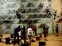 Graphical abstract: Dust exposure in indoor climbing halls