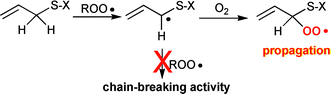 Graphical abstract: Do garlic-derived allyl sulfides scavenge peroxyl radicals?