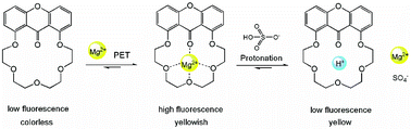 Graphical abstract: Selective colorimetric and fluorescent detection of HSO4− with sodium(i), magnesium(ii) and aluminium(iii) xanthone-crown ether complexes