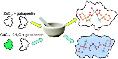 Graphical abstract: Simple and quantitative mechanochemical preparation of the first zinc and copper complexes of the neuroleptic drug gabapentin