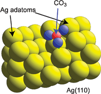 Graphical abstract: The local structure of molecular reaction intermediates at surfaces